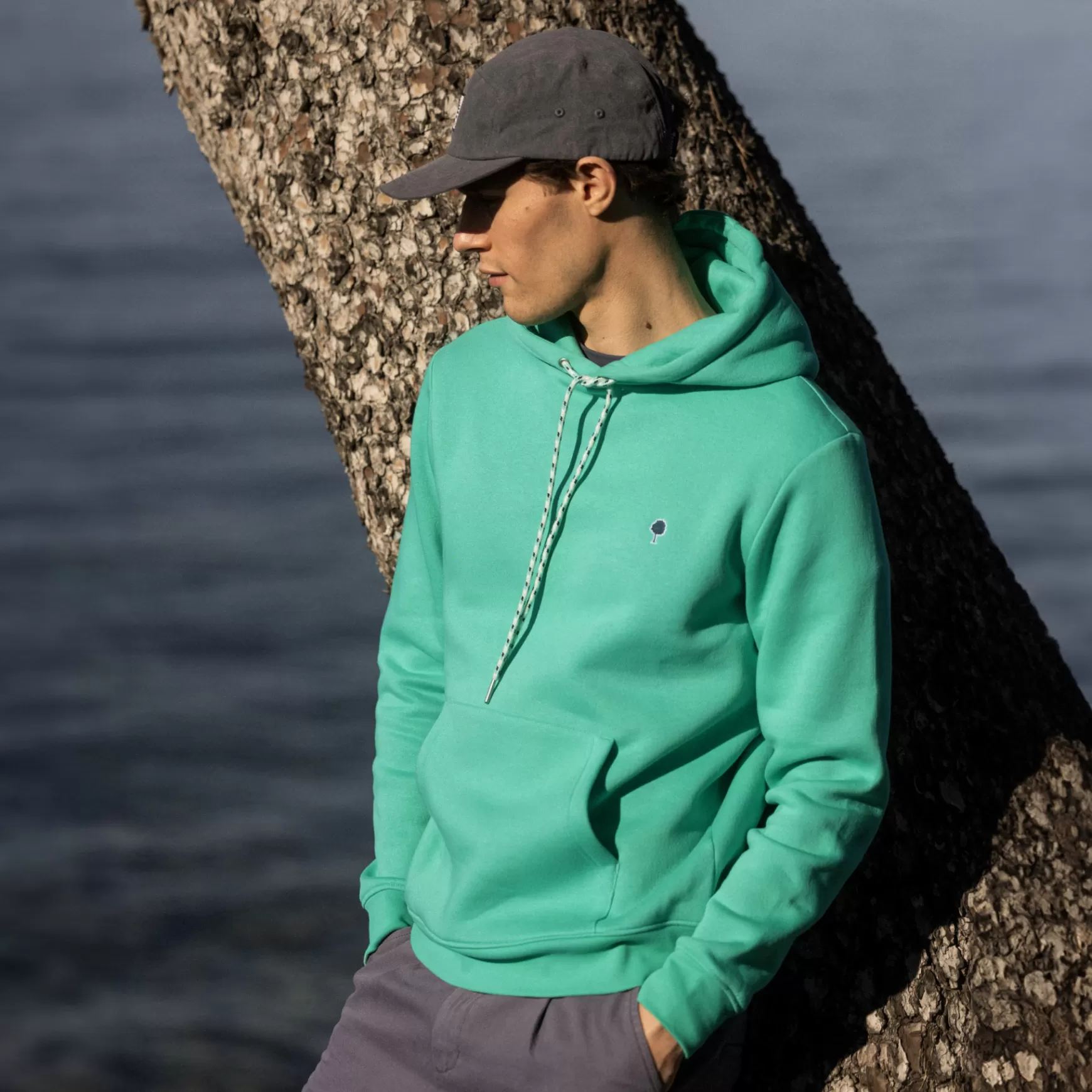 Faguo-Sweatshirts^FAGUO Mintgroene Truien