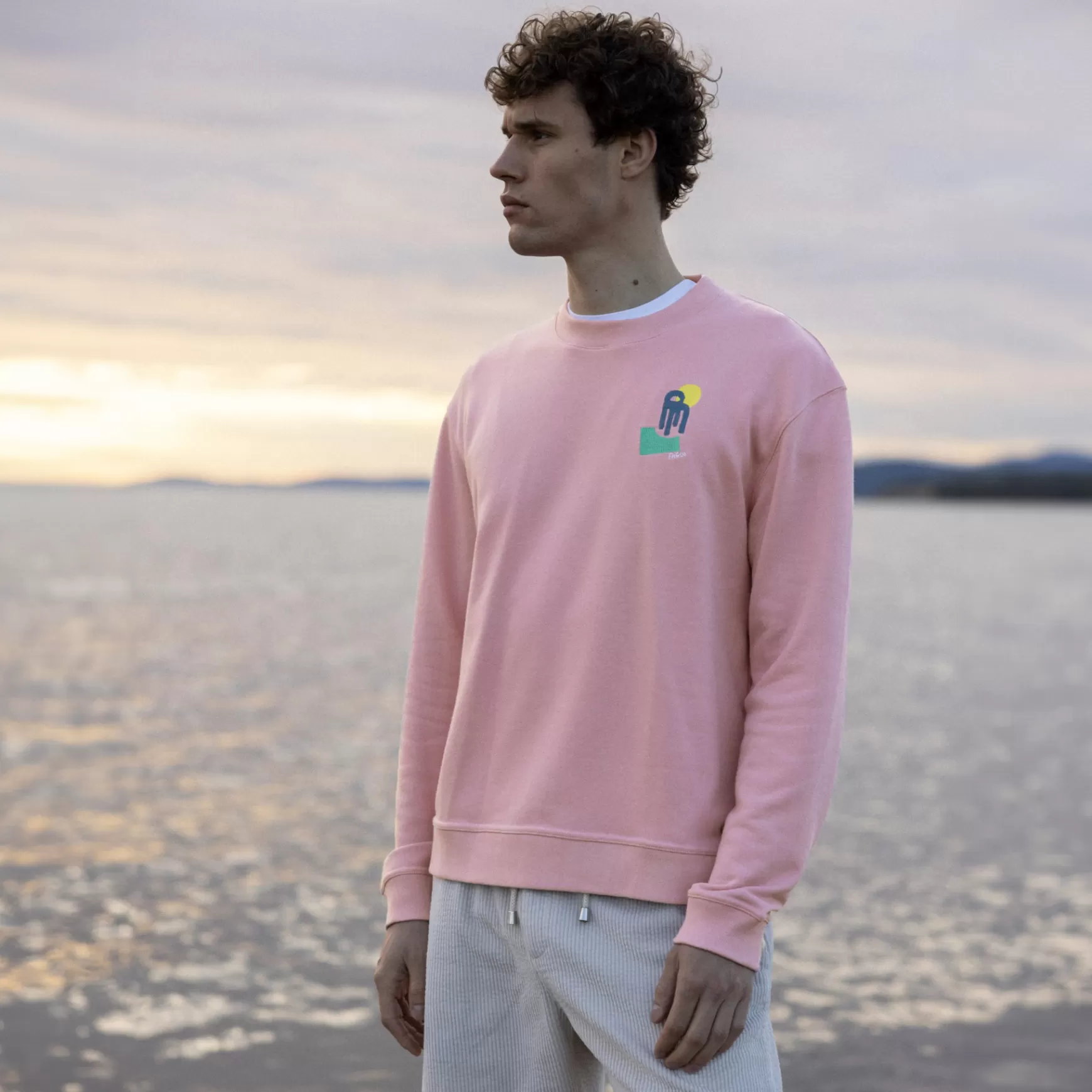 Faguo-Sweatshirts^FAGUO Roze Sweatshirt Lab Diego Faivre